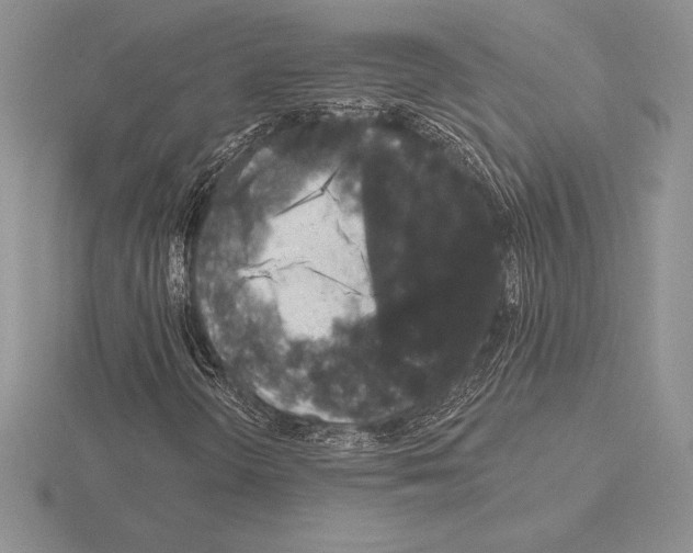 X0000115161298200912081359