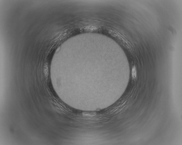 X0000115161299200912081359