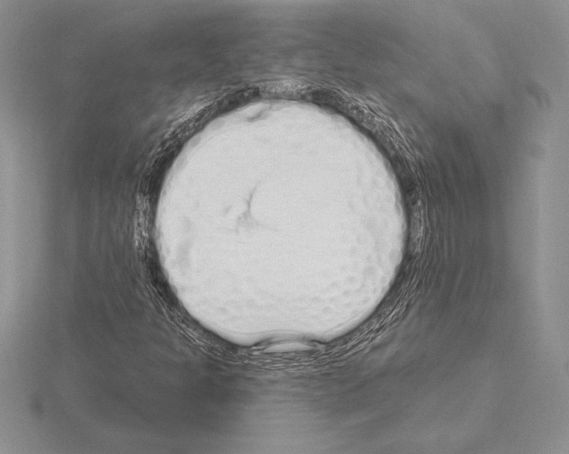 X0000115161301200912081359