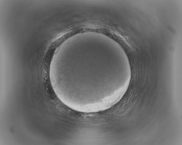 X0000115161303200912081359