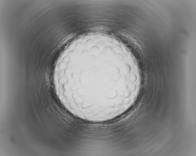 X0000115161305200912081359