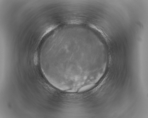 X0000115161306200912081359