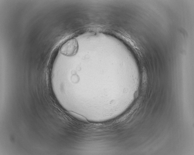 X0000115161309200912081359