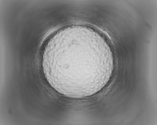 X0000115161311200912081359