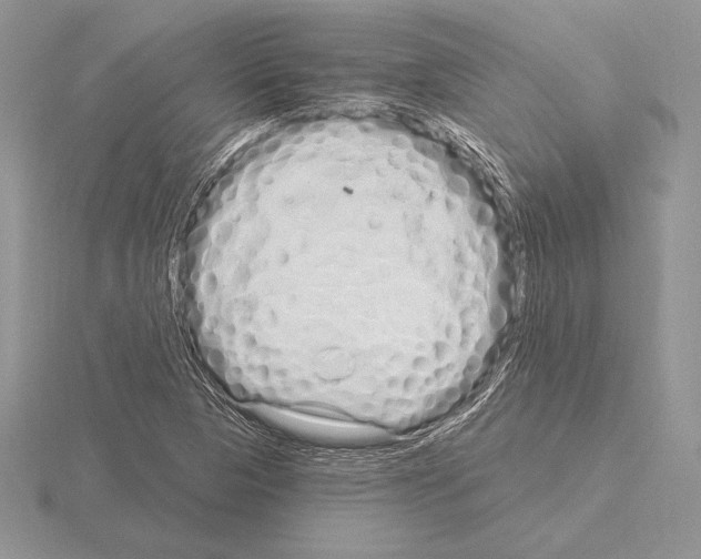 X0000115161313200912081359