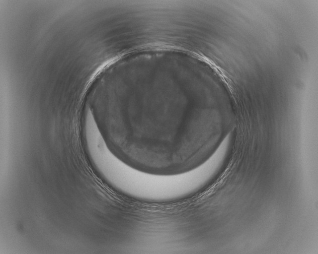 X0000115161314200912081359