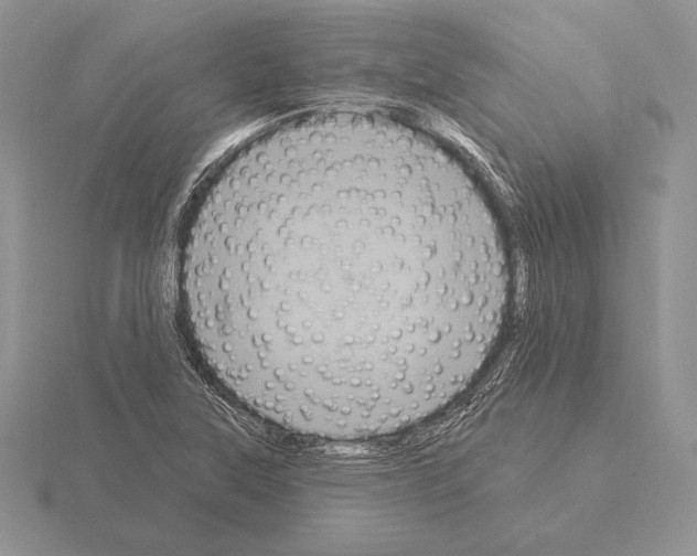 X0000115161315200912081359