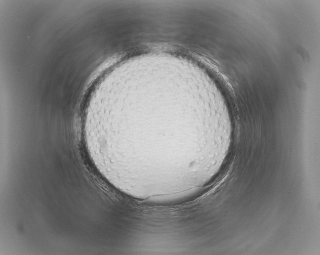 X0000115161317200912081359