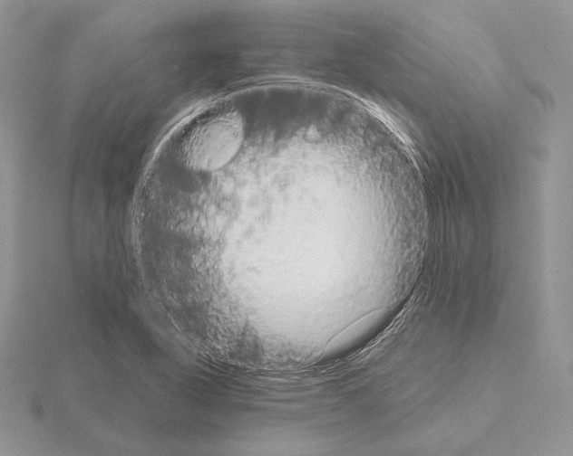 X0000115161318200912081359