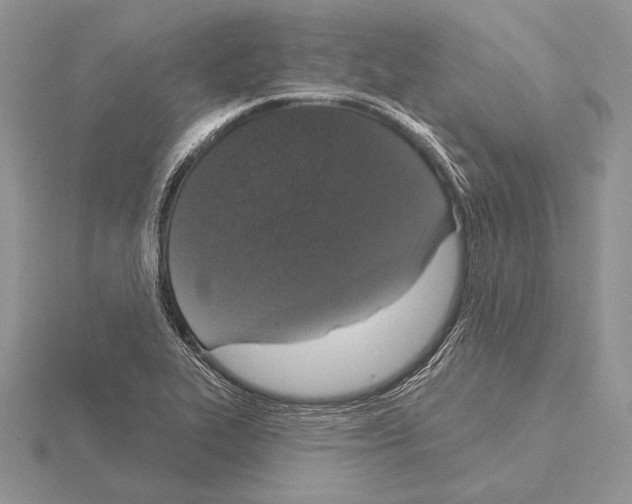 X0000115161319200912081359