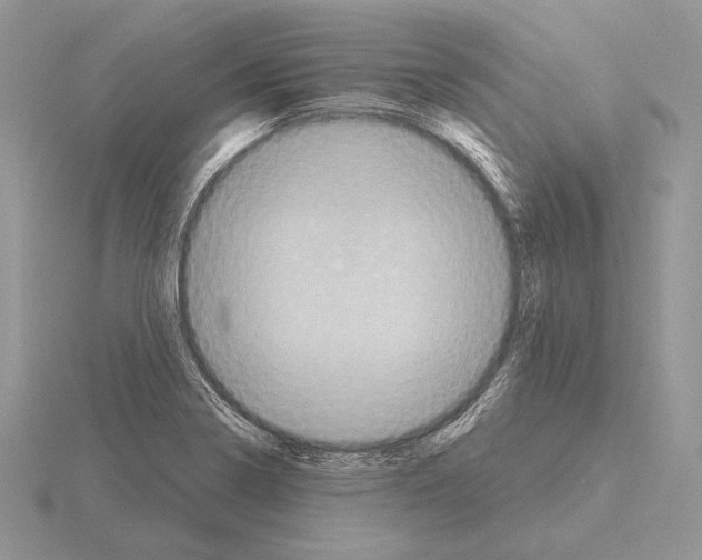 X0000115161322200912081359