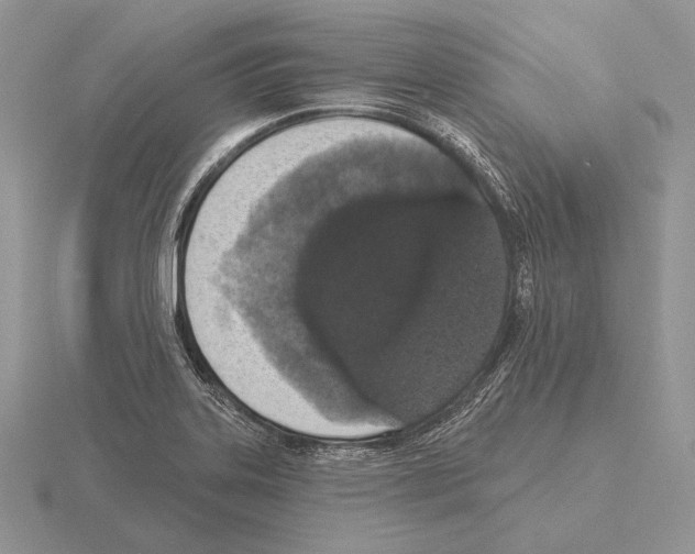 X0000115161323200912081359