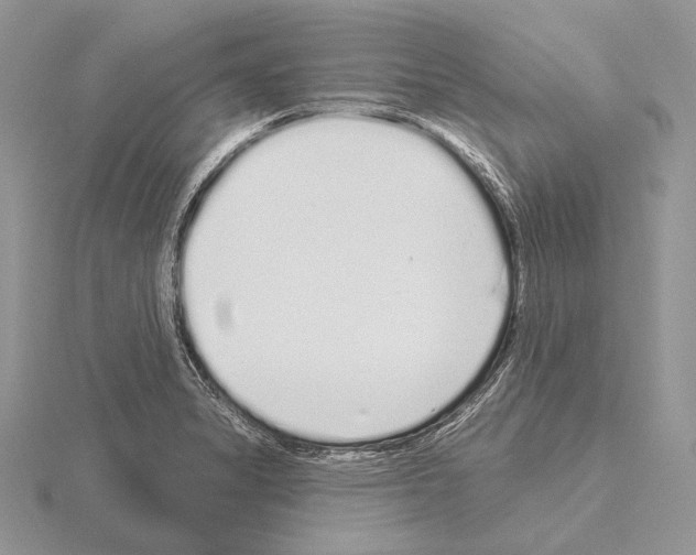 X0000115161325200912081359