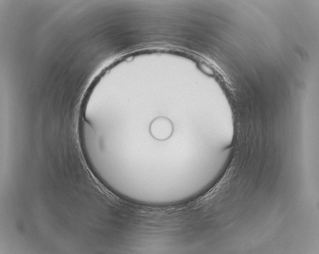 X0000115161326200912081359