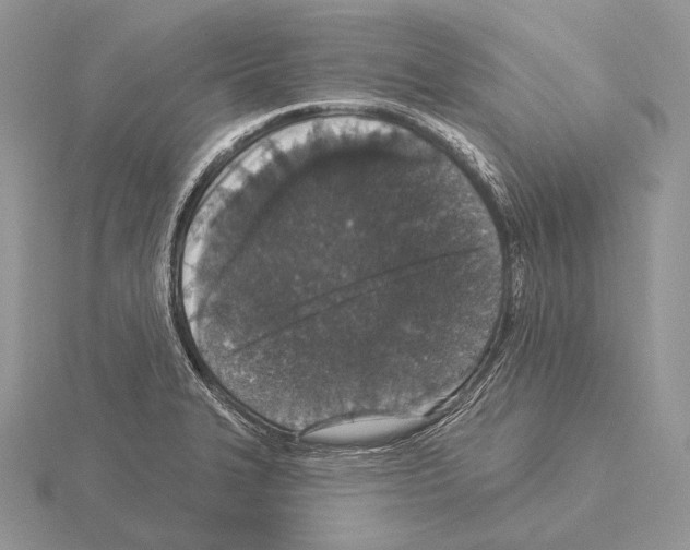 X0000115161327200912081359