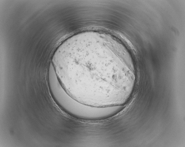 X0000115161329200912081359