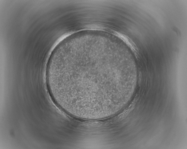 X0000115161331200912081359