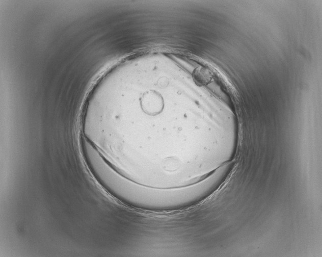 X0000115161333200912081359