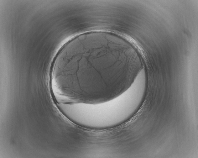 X0000115161334200912081359