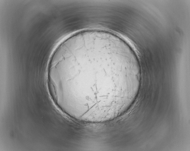 X0000115161335200912081359