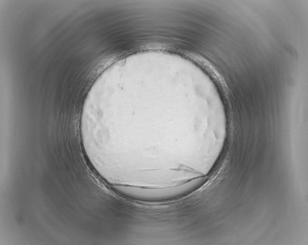 X0000115161337200912081400