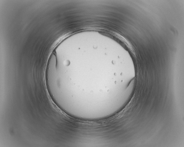 X0000115161338200912081400