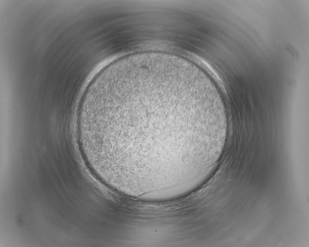 X0000115161339200912081400