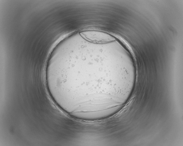 X0000115161341200912081400