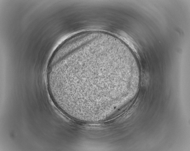 X0000115161342200912081400