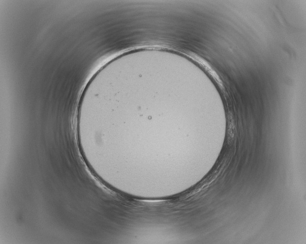 X0000115161343200912081400