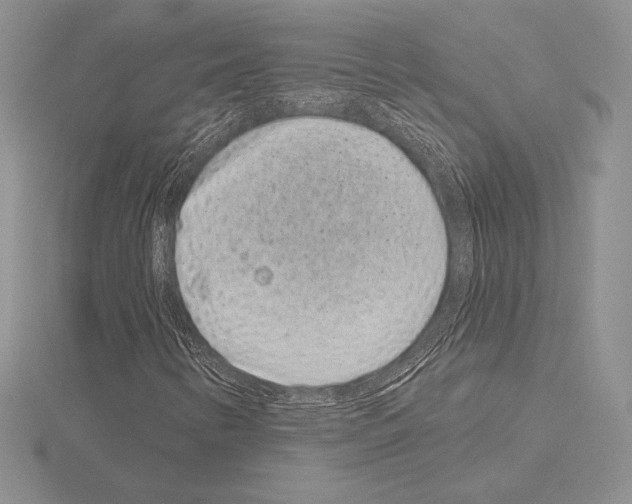 X0000115161346200912081359