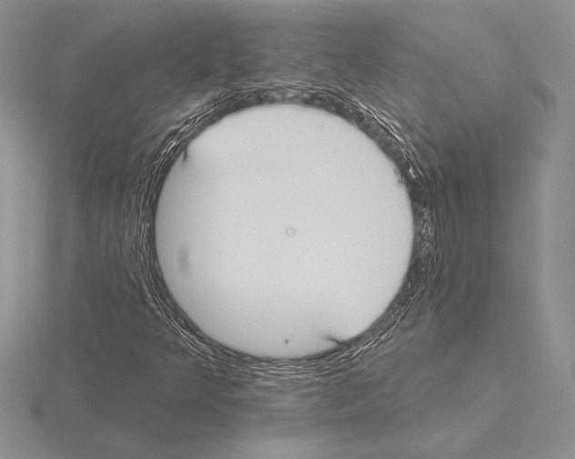 X0000115161349200912081359