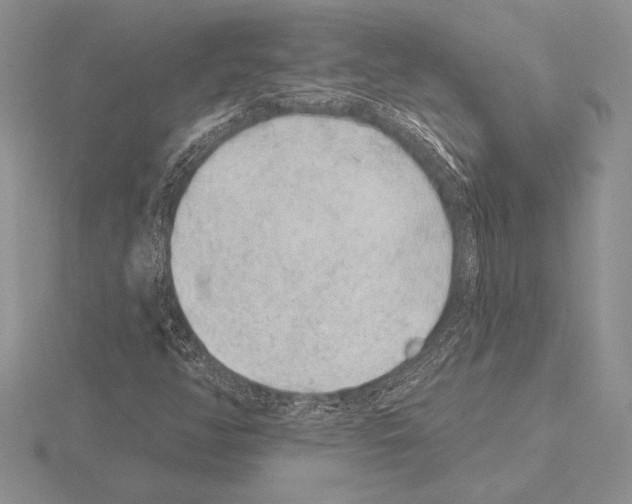 X0000115161350200912081359