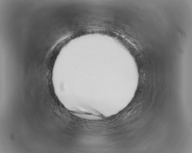 X0000115161351200912081359