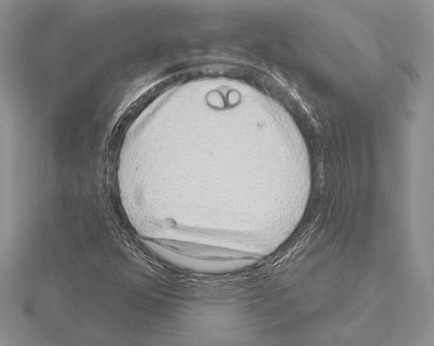 X0000115161352200912081359