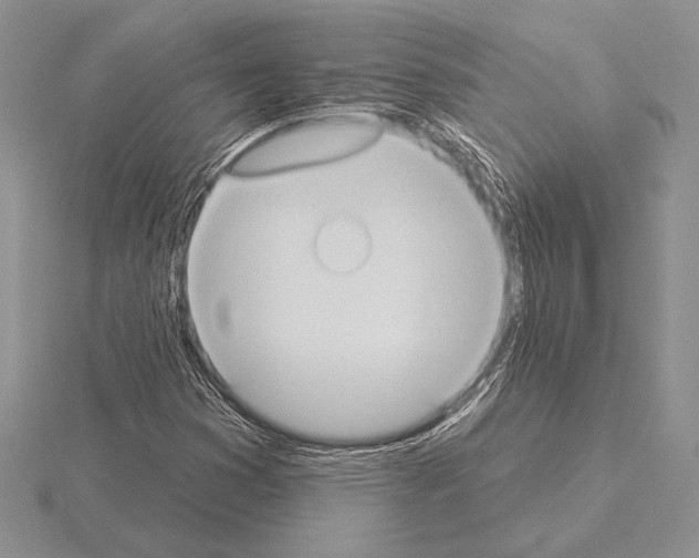 X0000115161353200912081359