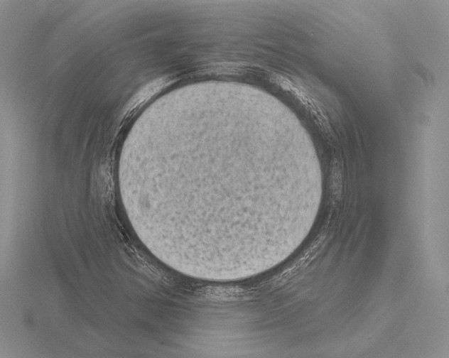 X0000115161354200912081359