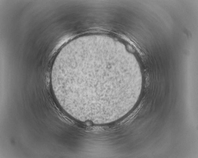 X0000115161355200912081359