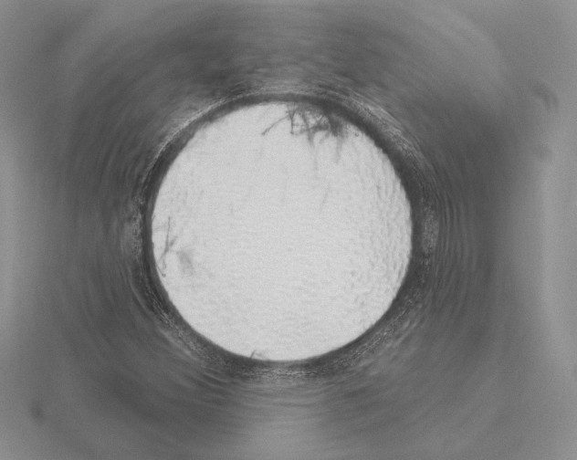 X0000115161356200912081359