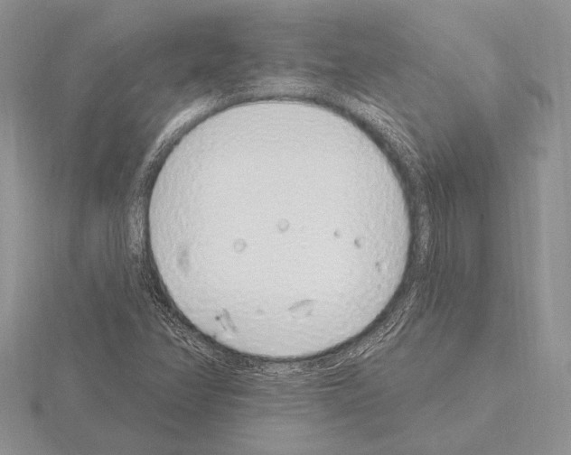 X0000115161358200912081359