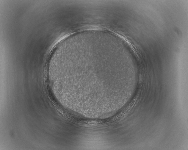 X0000115161359200912081359