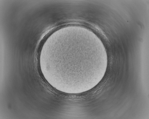 X0000115161360200912081359