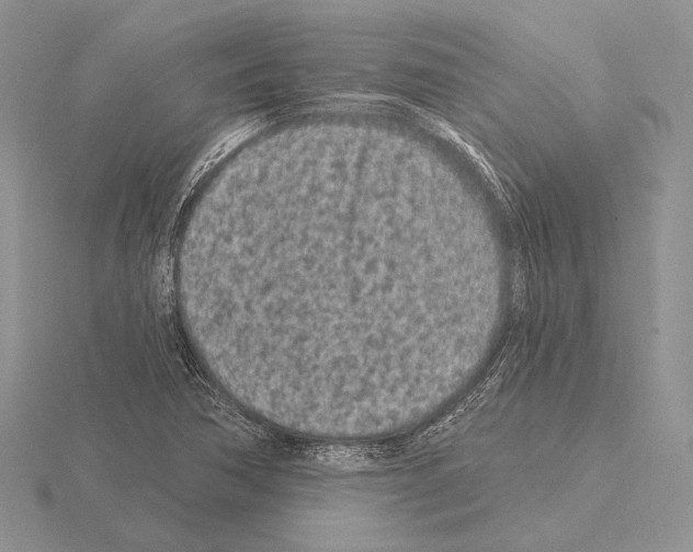 X0000115161362200912081359