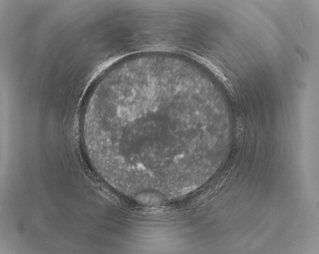 X0000115161364200912081359