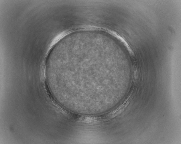 X0000115161365200912081359