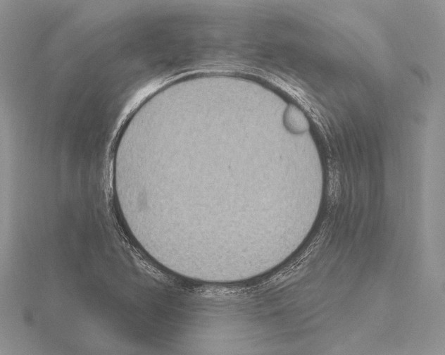 X0000115161366200912081359