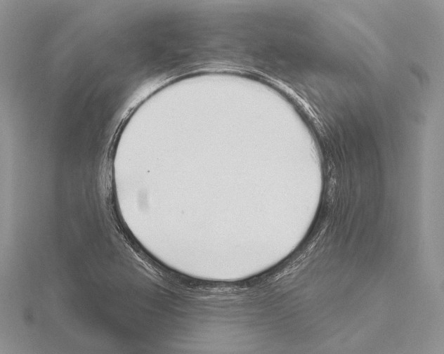 X0000115161367200912081359