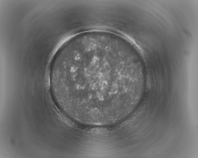 X0000115161368200912081359