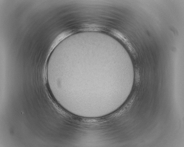 X0000115161370200912081359