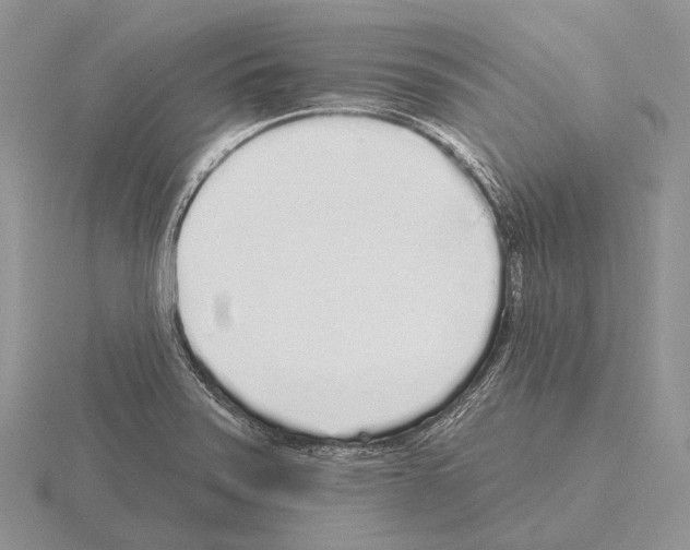 X0000115161371200912081359